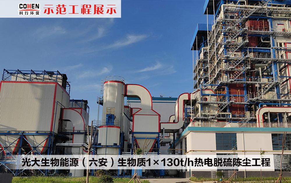 光大城鄉再生能源（灌云）1×130t h生物質鍋爐脫硫除塵工程